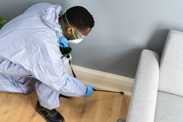 Best Pest Prevention Services  in New London, OH